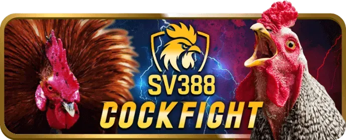 Cá cược có trách nhiệm Kubet Game